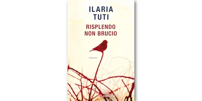 La copertina di Risplendo non brucio di Ilaria Tuti